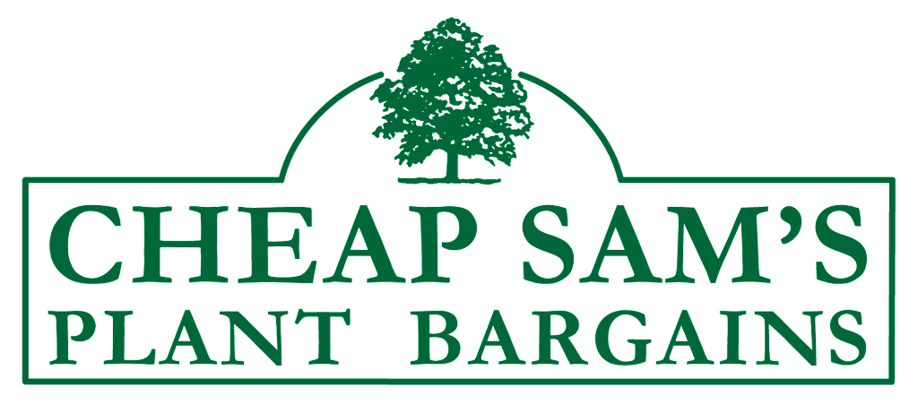 Cheap Sams Plant Bargains | 148 Morris Ave, Holtsville, NY 11742 | Phone: (631) 654-3020