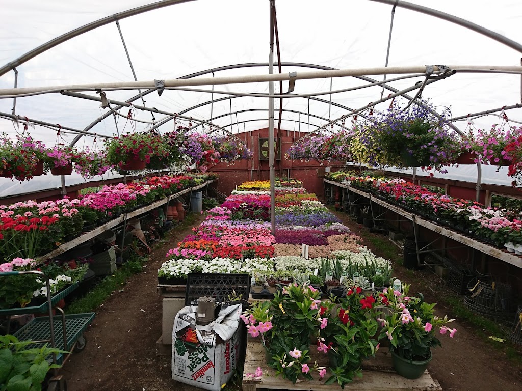 Class Grass Garden Center | 140 W State St Rt 202, Granby, MA 01033 | Phone: (413) 467-7979