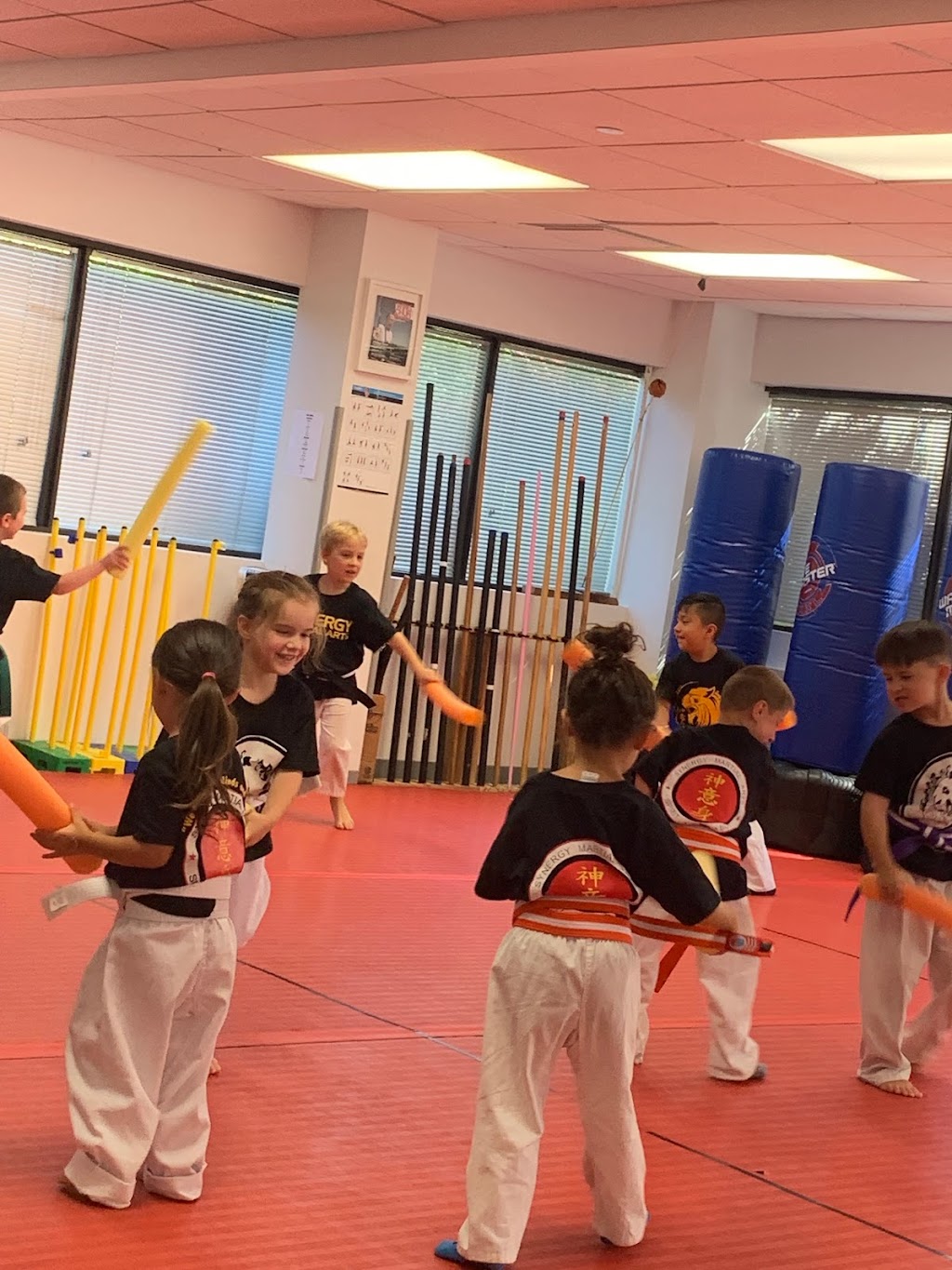 Synergy Martial Arts | 200 Daniels Way, Freehold, NJ 07728 | Phone: (732) 252-9376