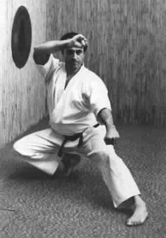 Karate USA Terry Maccarrone | 110 Potunk Ln, Westhampton Beach, NY 11978 | Phone: (631) 288-2516