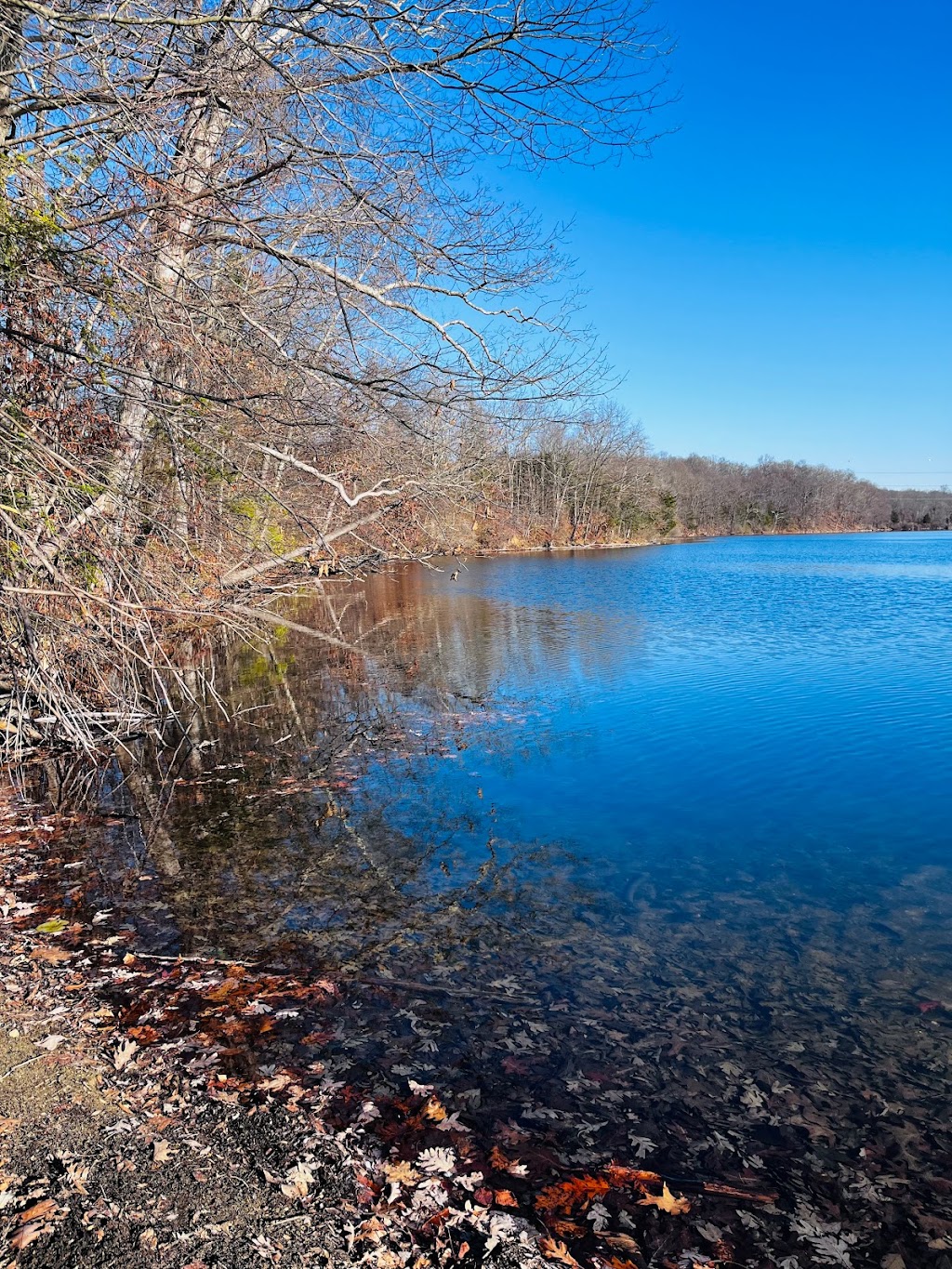 Paulinskill River Wildlife Management Area | Junction Rd, Newton, NJ 07860 | Phone: (609) 984-0547