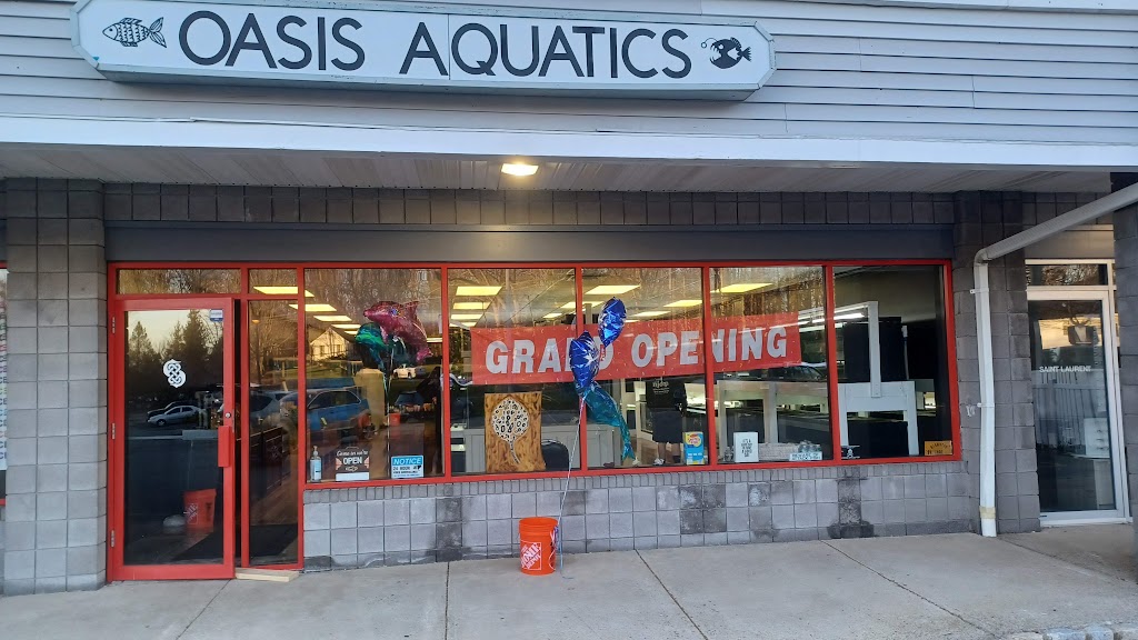 Oasis Aquatics | 915 County Rd 517, Hackettstown, NJ 07840 | Phone: (908) 441-2922