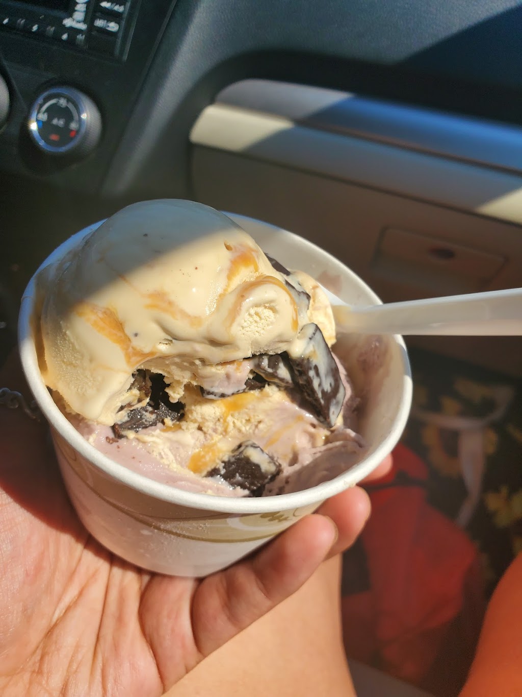 Salem Valley Farms Ice Cream | 20 Darling Rd, Salem, CT 06420 | Phone: (860) 859-2980