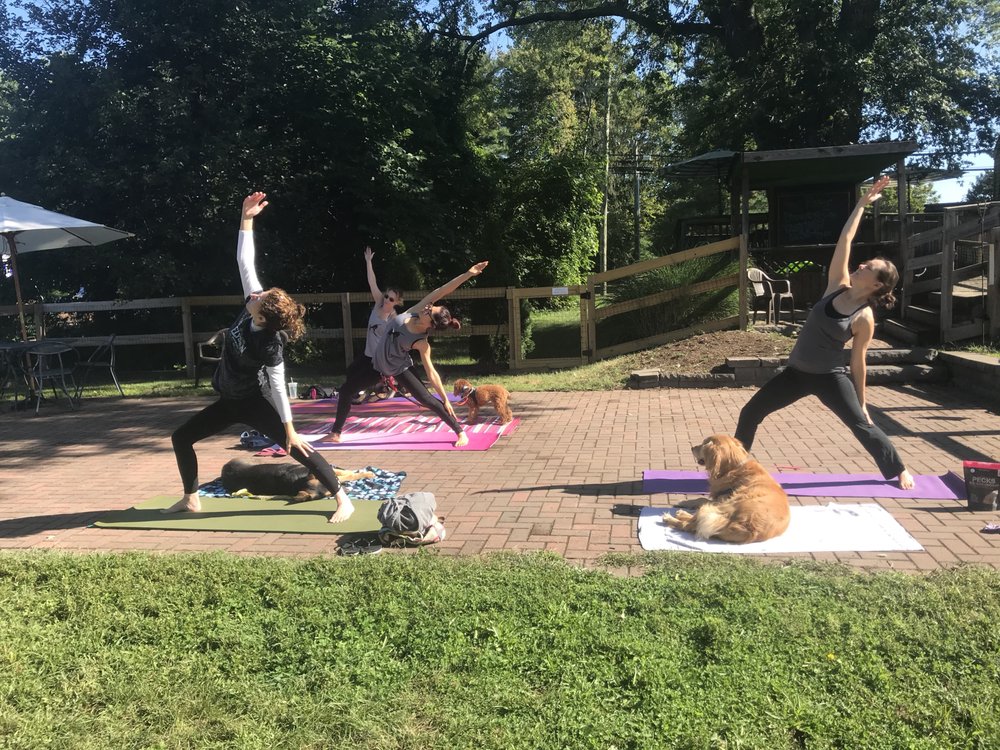 TAO DOG® YOGA | 22 Iron Horse Blvd, Simsbury, CT 06070 | Phone: (860) 682-2313