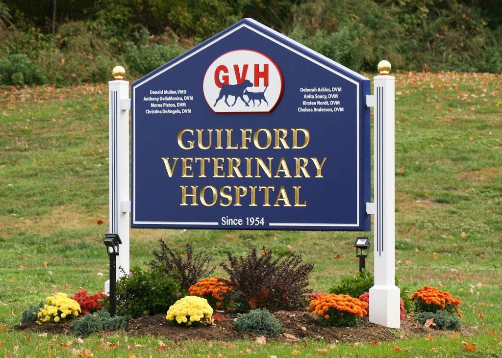Guilford Veterinary Hospital | 81 Saw Mill Rd, Guilford, CT 06437 | Phone: (203) 453-2707
