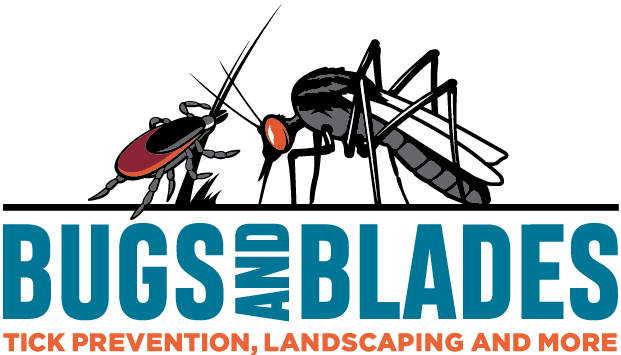 Bugs & Blades | 235 Danbury Rd, Wilton, CT 06897 | Phone: (203) 434-3279