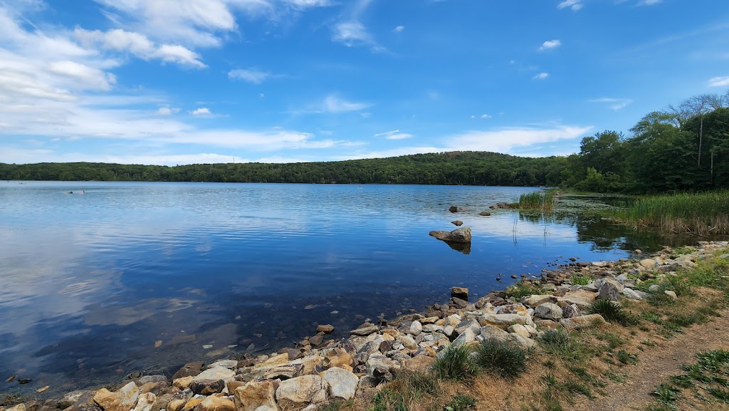 White Pond Multiple Use Area | 332-372 White Pond Rd, Stormville, NY 12582 | Phone: (845) 225-1111