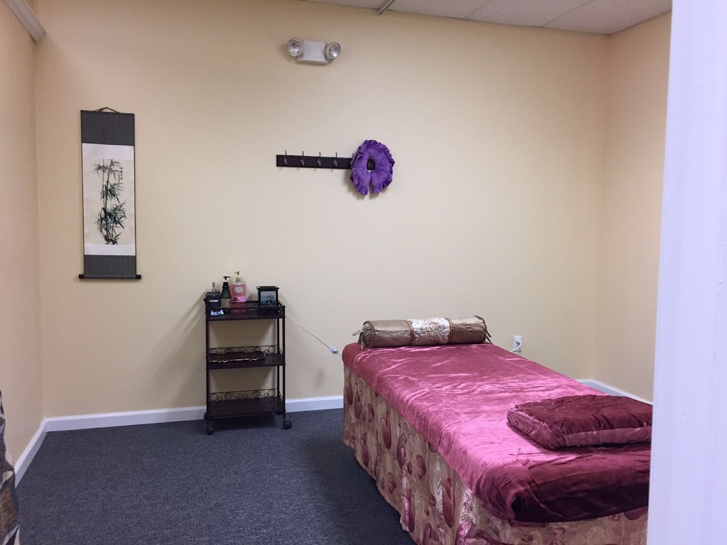 TuiNa Massage & Health Center | 286 Route 206 unit C2, Flanders, NJ 07836 | Phone: (973) 598-8888