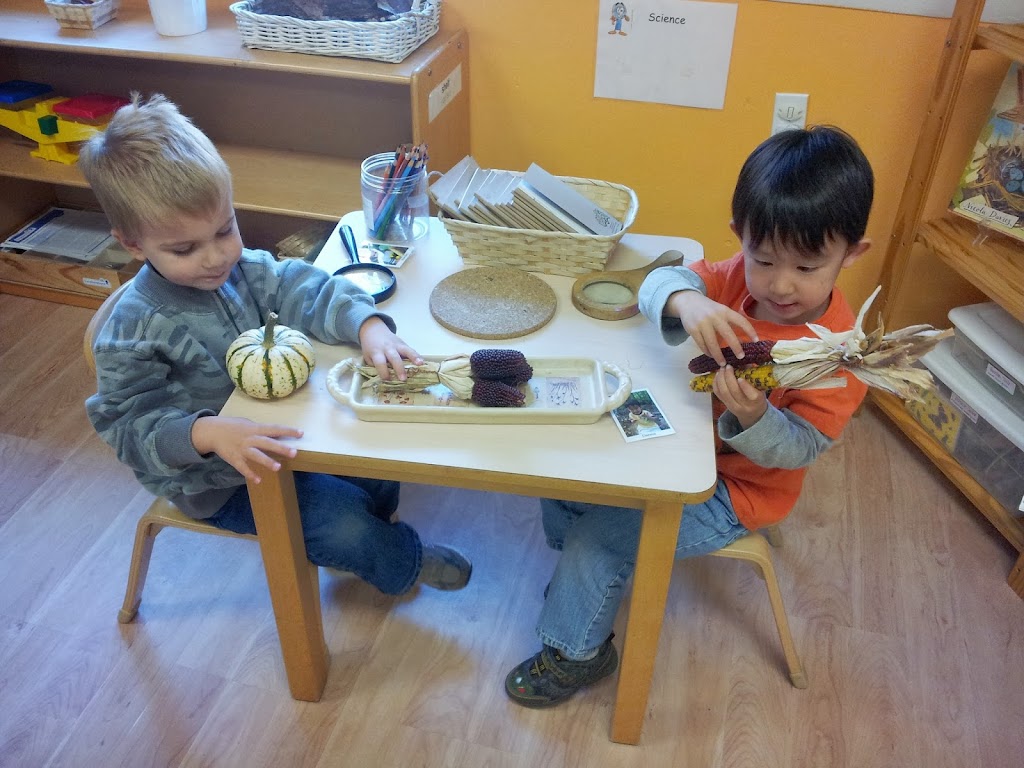 Carrot Patch Early Learning Center | 235 Johnson Rd, Hamden, CT 06518 | Phone: (203) 248-5433