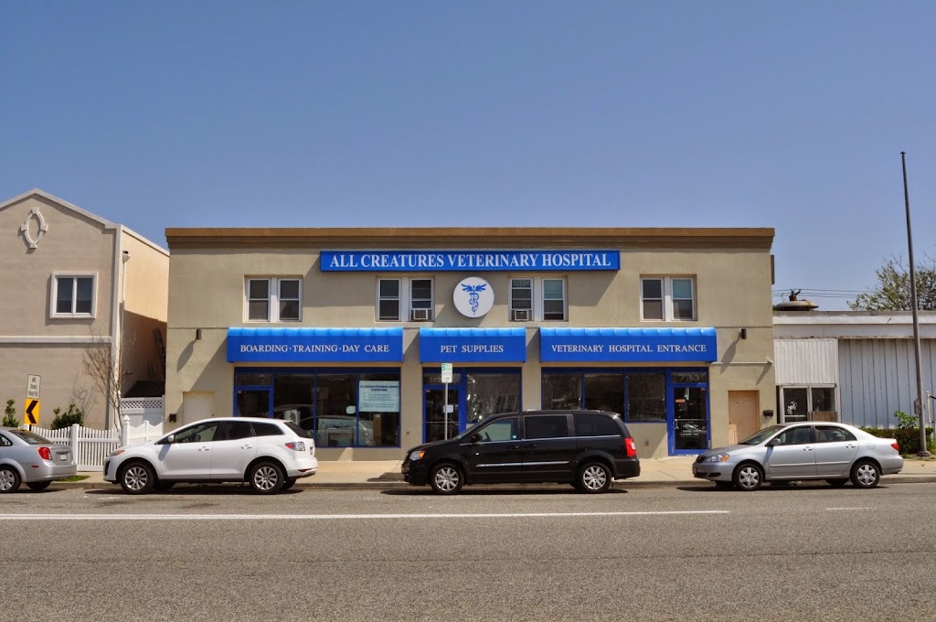 All Creatures Veterinary Services | 733 W Park Ave, Long Beach, NY 11561 | Phone: (516) 432-2946