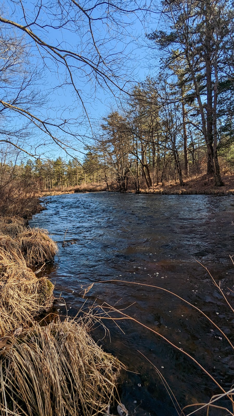 Wildlands Conservancys Maple Tract Preserve | 271 Stoney Hollow Rd, Pocono Lake, PA 18347 | Phone: (610) 965-4397