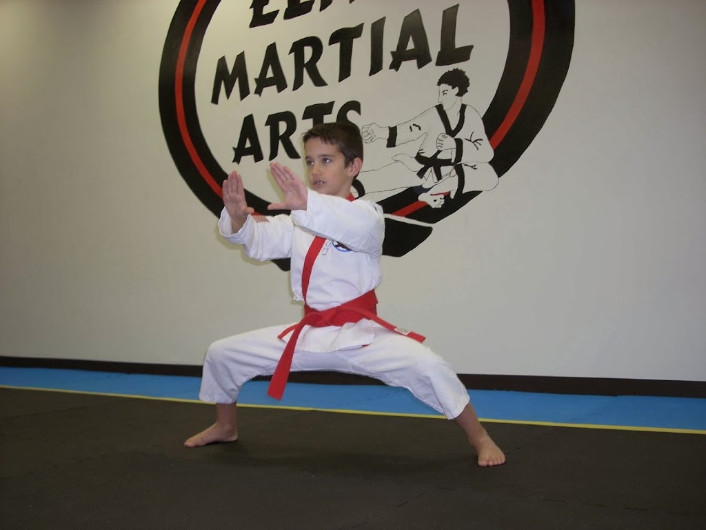 Elite Martial Arts Institute I Karate | 8 Riverside Dr, White Mills, PA 18473 | Phone: (570) 470-1818