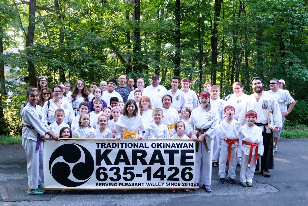 Traditional Okinawan Karate of Pleasant Valley | 17 North Ave, Pleasant Valley, NY 12569 | Phone: (845) 635-1426