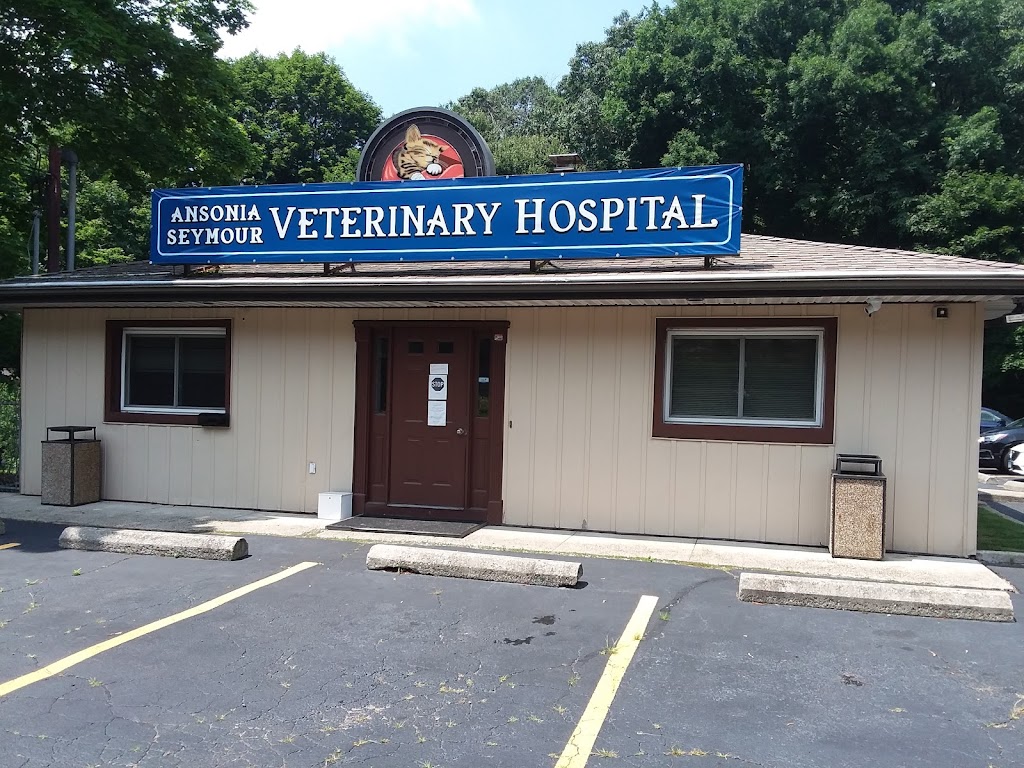 Ansonia Seymour Veterinary Hospital | 876 S Main St, Seymour, CT 06483 | Phone: (203) 735-9915