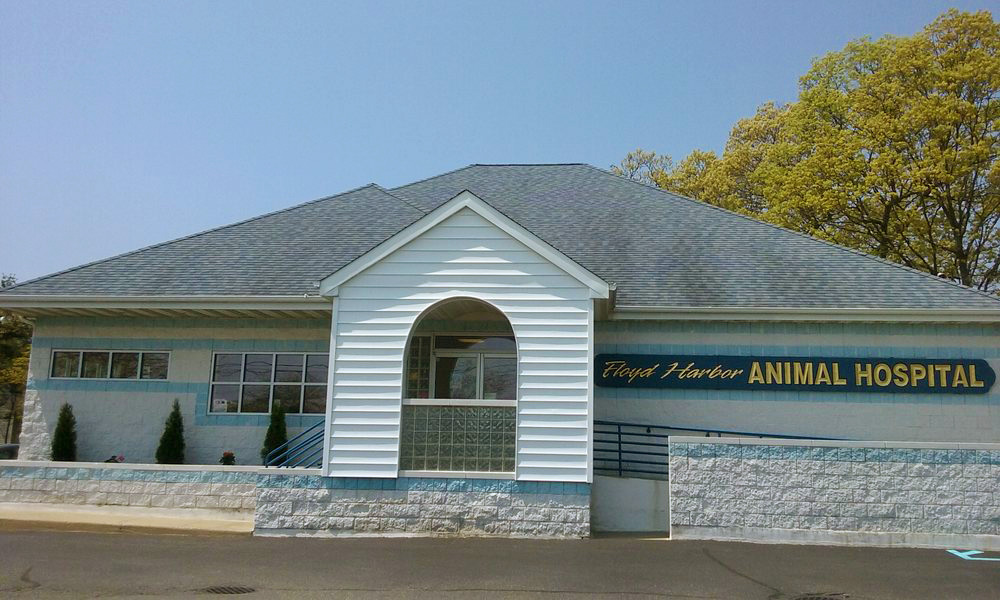 Floyd Harbor Animal Hospital | 158 Margin Dr W, Shirley, NY 11967 | Phone: (631) 281-1888