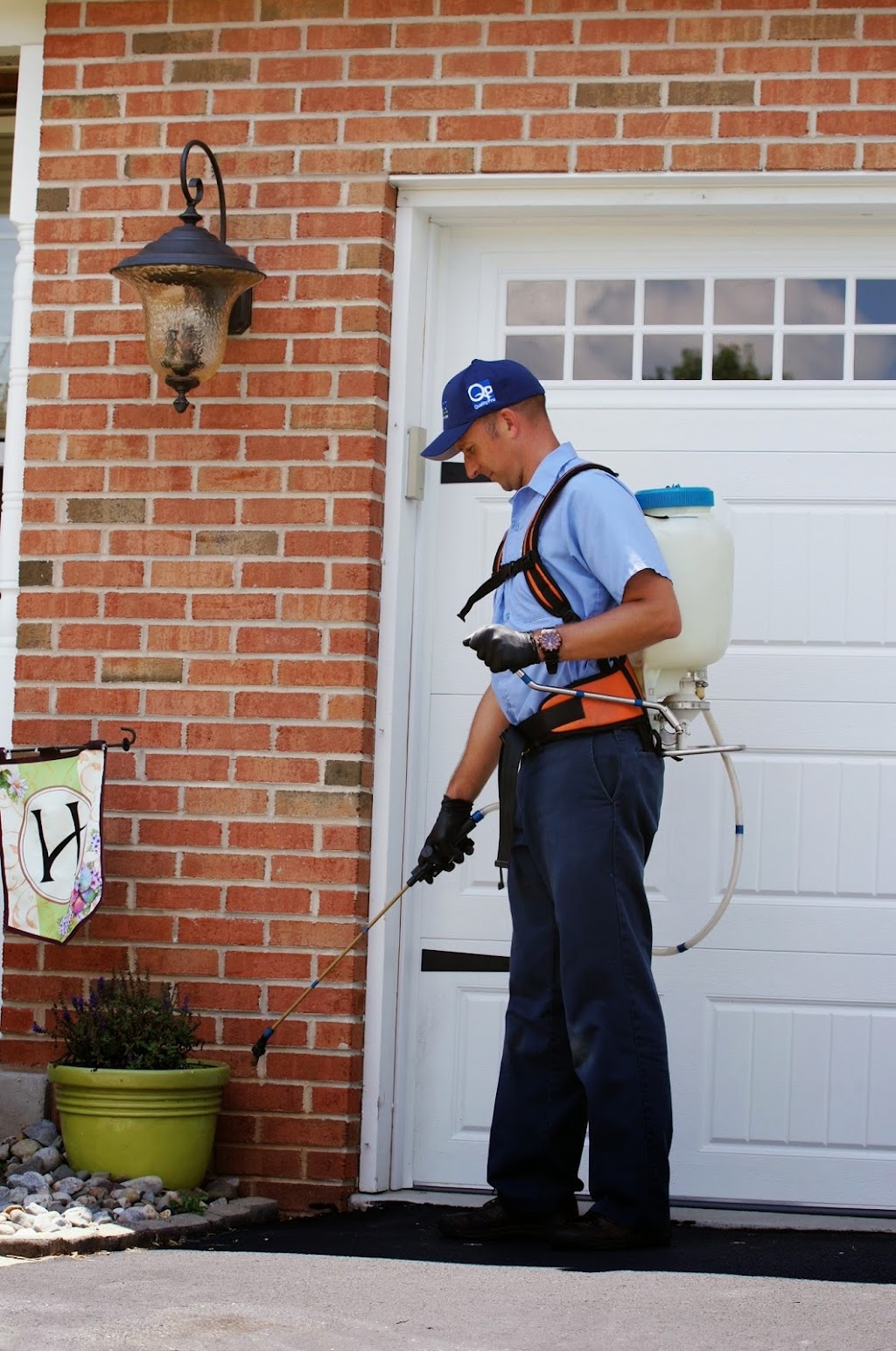See Pest Control | 862 Gravel Pike, Collegeville, PA 19426 | Phone: (610) 287-9804