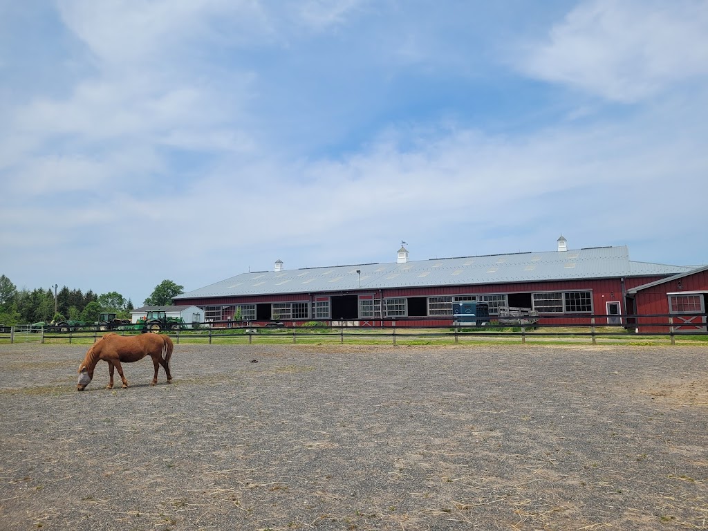Mercer Meadows Equestrian Center | 431 Federal City Rd # B, Pennington, NJ 08534 | Phone: (609) 730-9059
