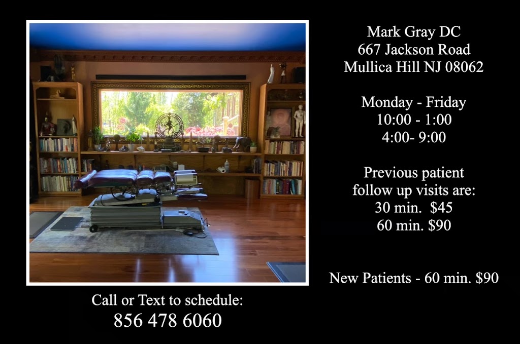 Gray Mark S DC | 667 Jackson Rd, Mullica Hill, NJ 08062 | Phone: (856) 478-6060