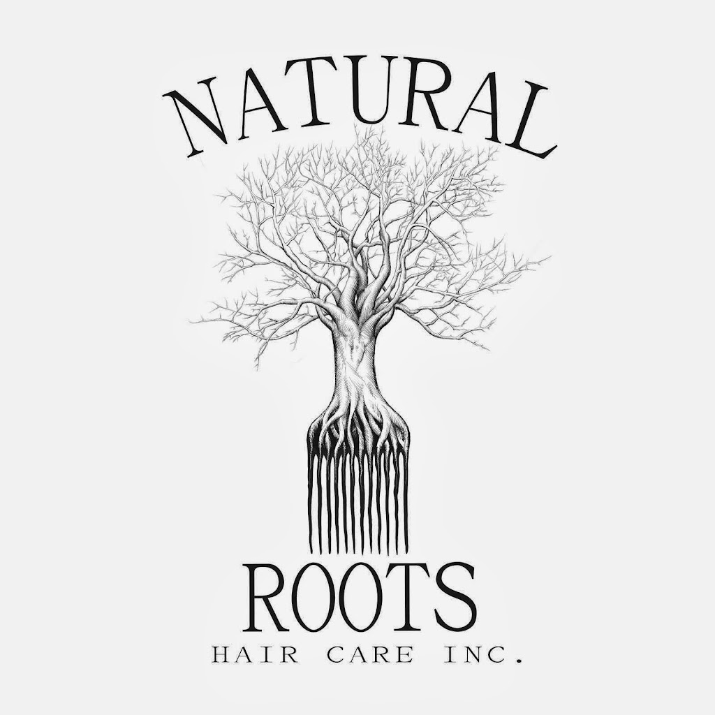 Natural Roots Hair Care | 491 Broadway, Amityville, NY 11701 | Phone: (631) 847-1085