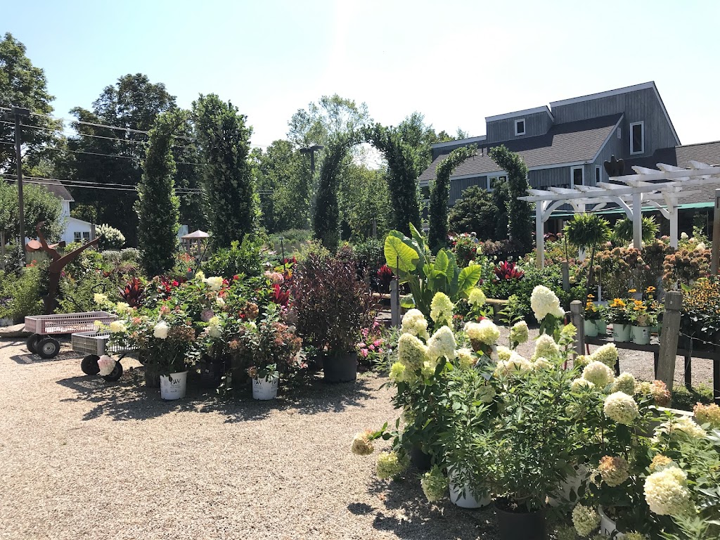 Kent Greenhouse & Gardens | 30 S Main St, Kent, CT 06757 | Phone: (860) 927-4436