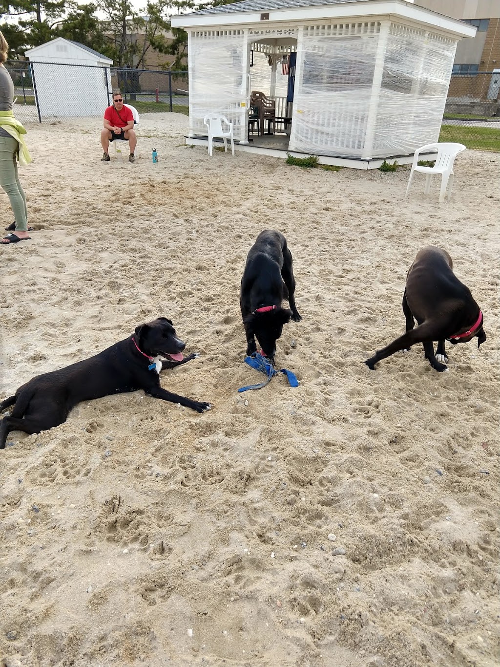 Ocean City Dog Park | 45th St & Haven Ave, Ocean City, NJ 08226 | Phone: (609) 399-6111