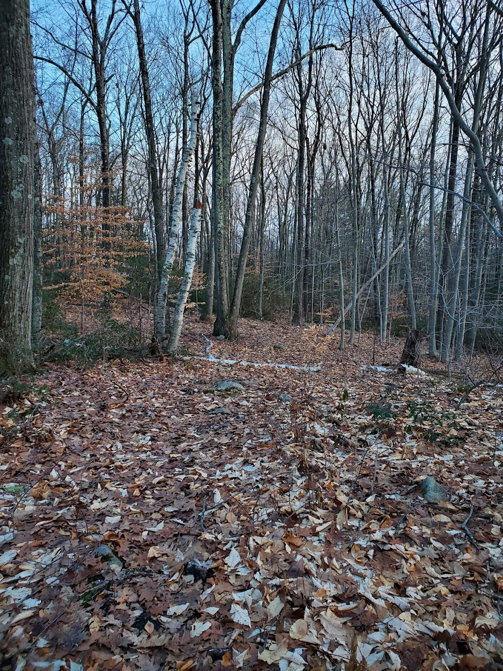 Antonlini Woods Hiking Trail | 98-54 Antolini Rd, New Hartford, CT 06057 | Phone: (860) 379-3389