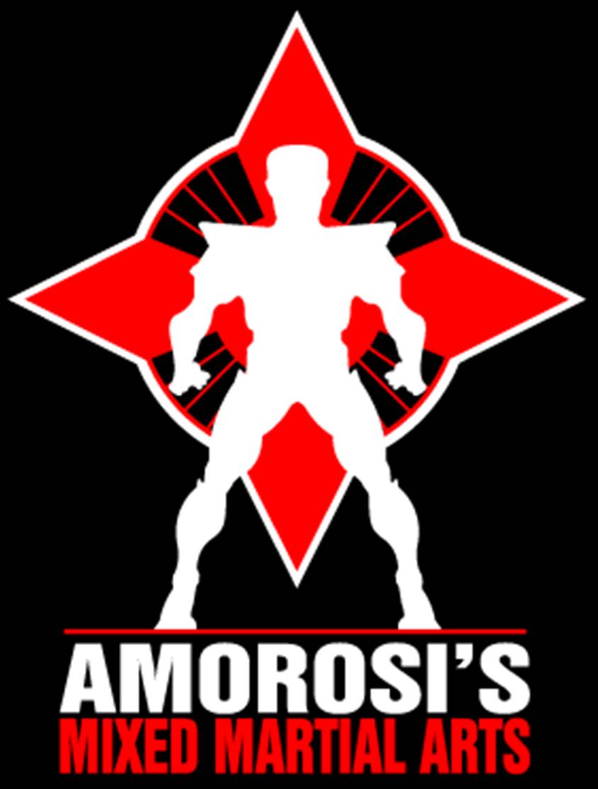 Amorosi Martial-Arts Organization | 615 S Livingston Ave suite 10-5, Livingston, NJ 07039 | Phone: (973) 533-9112