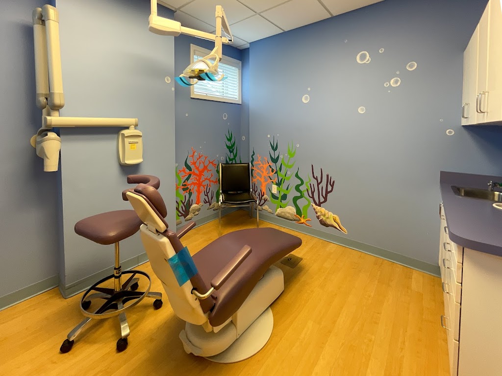 Nyack Pediatric Dentistry | 265 N Highland Ave #101, Nyack, NY 10960 | Phone: (845) 512-8434