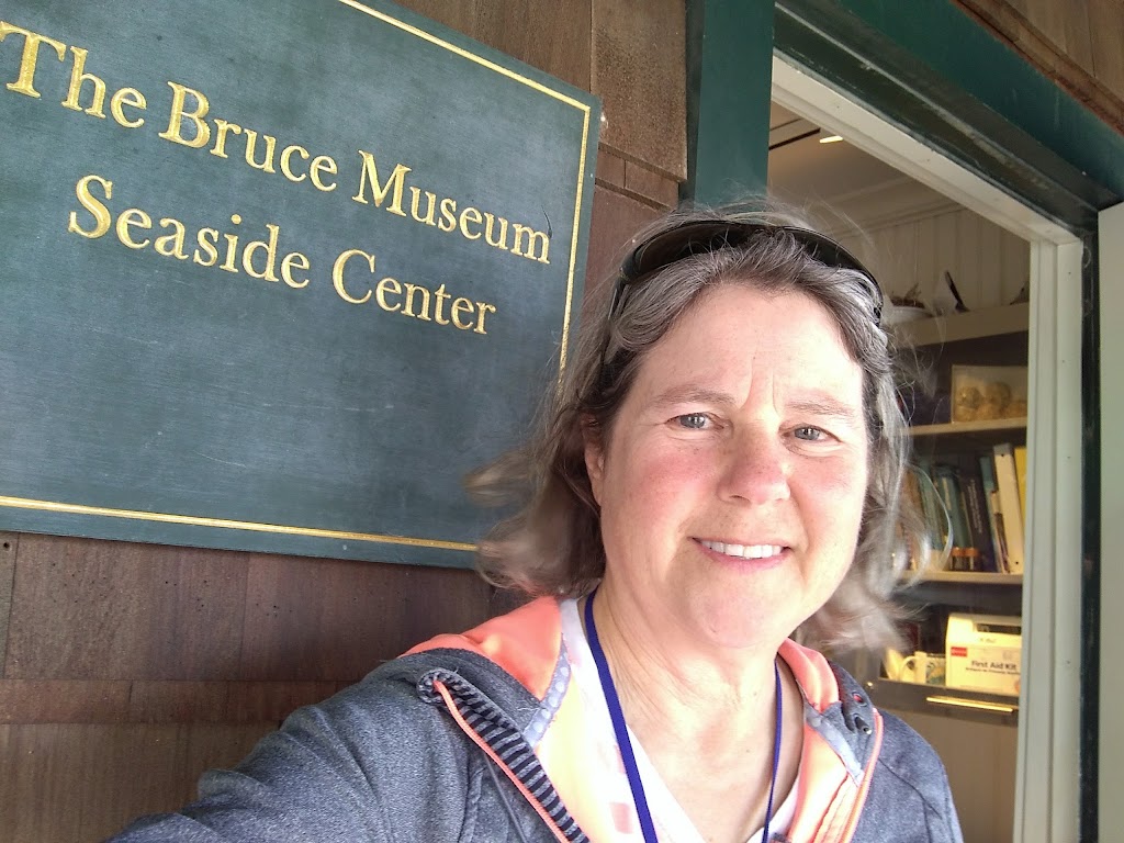 The Bruce Museum Seaside Center | 10 Tods Driftway, Old Greenwich, CT 06870 | Phone: (203) 869-0376