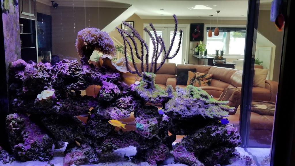 Aquariums Alive | 44 Schoolhouse Rd, Old Bethpage, NY 11804 | Phone: (516) 606-1382