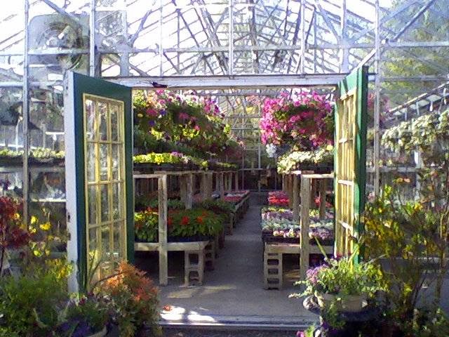 Toms Greenhouses and Florist | 123 Montgomery St, Goshen, NY 10924 | Phone: (845) 294-5233