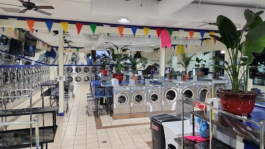Wash Wave Laundromat | 720 Wolcott St, Waterbury, CT 06705 | Phone: (203) 527-4647