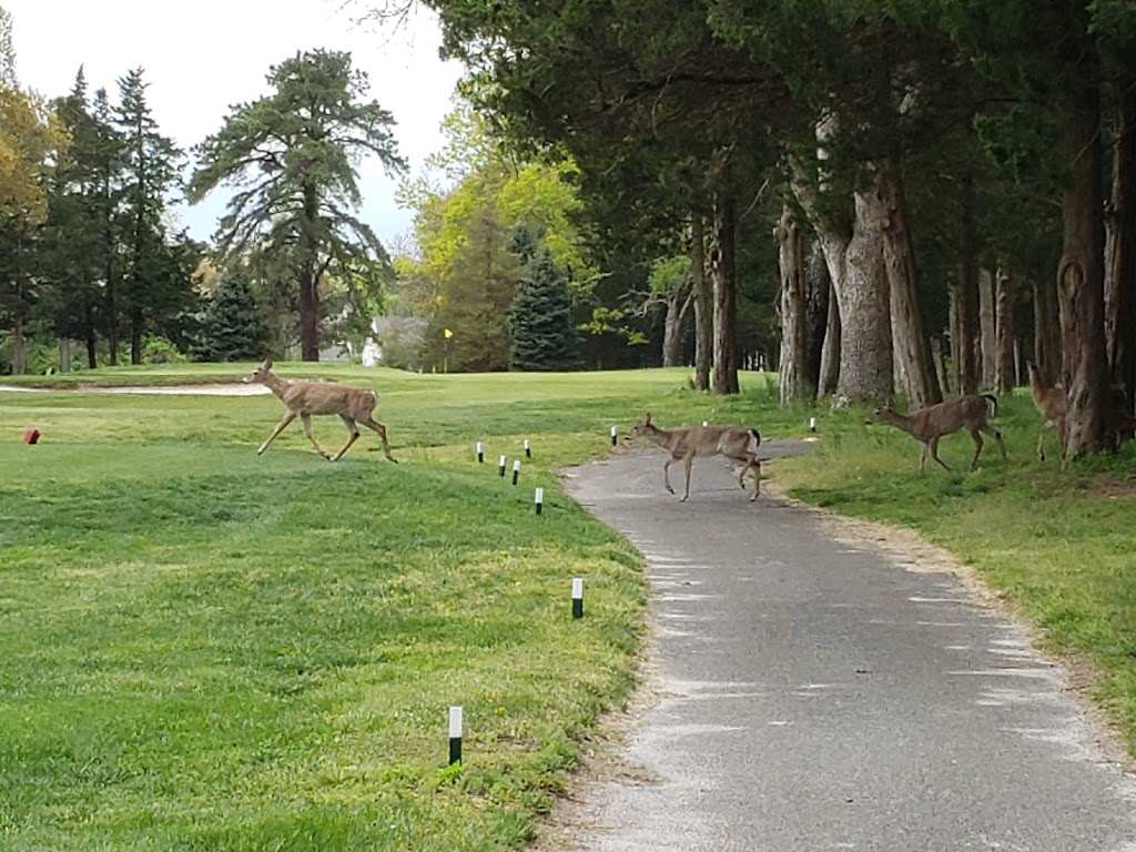 Ocean County Golf Course at Atlantis | 261 Country Club Blvd, Little Egg Harbor Township, NJ 08087 | Phone: (609) 296-2444