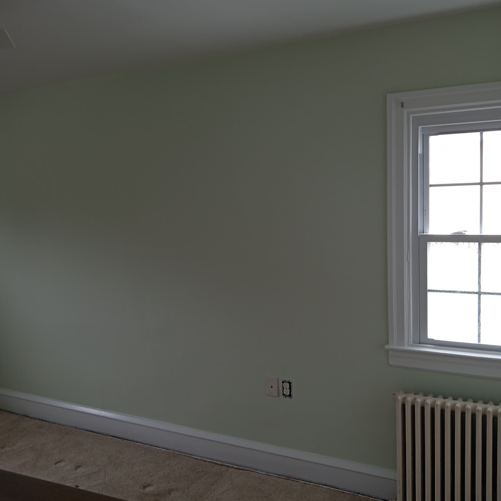 The Irish Painter and Contractor LLC | 9894 Frankford Ave 1st Floor, Philadelphia, PA 19114 | Phone: (267) 633-5811
