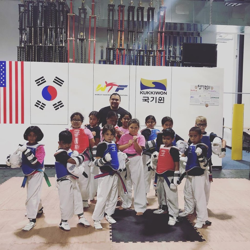 Tigers Martial Arts Academy - TMAA | 385 St Georges Ave # B, Rahway, NJ 07065 | Phone: (732) 381-1933