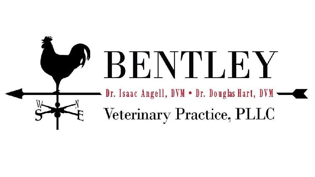 Bentley Veterinary Practice, PLLC | 6030 NY-82, Stanfordville, NY 12581 | Phone: (518) 398-5353