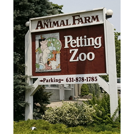 Animal Farm Petting Zoo | 296 Wading River Rd, Manorville, NY 11949 | Phone: (631) 878-1785