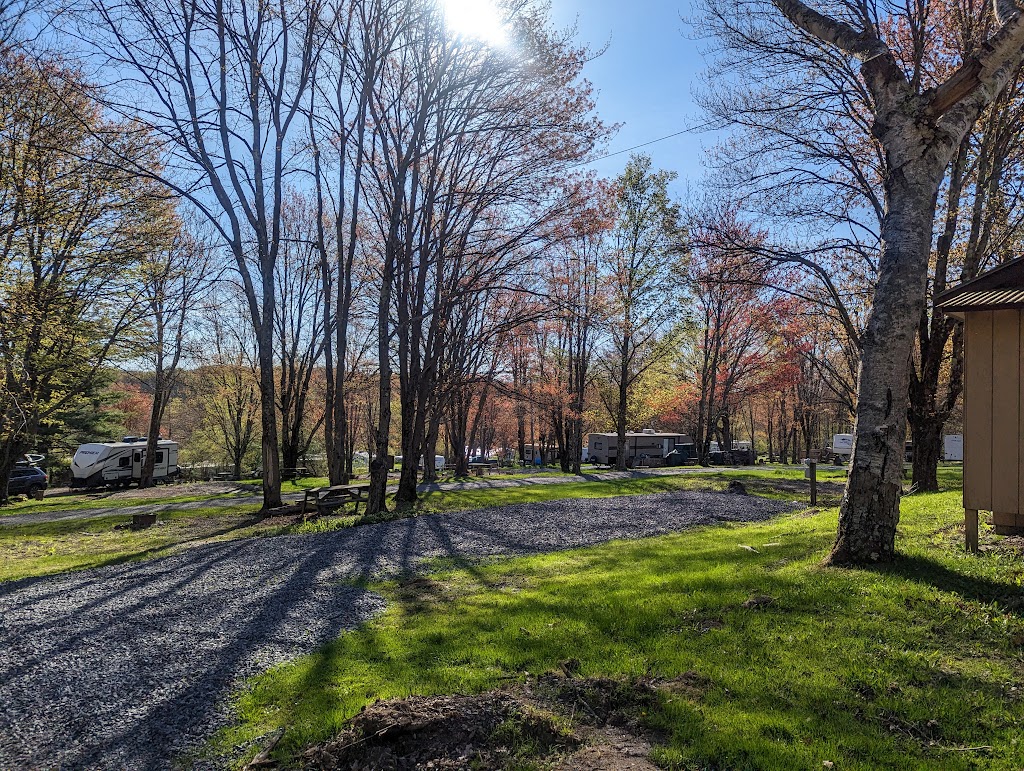 Spacious Skies Campgrounds - Woodland Hills | 386 Fog Hill Rd, Austerlitz, NY 12017 | Phone: (518) 392-3557