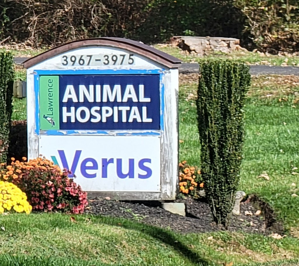 Lawrence Animal Hospital | 3975 Princeton Pike, Princeton, NJ 08540 | Phone: (609) 924-2293