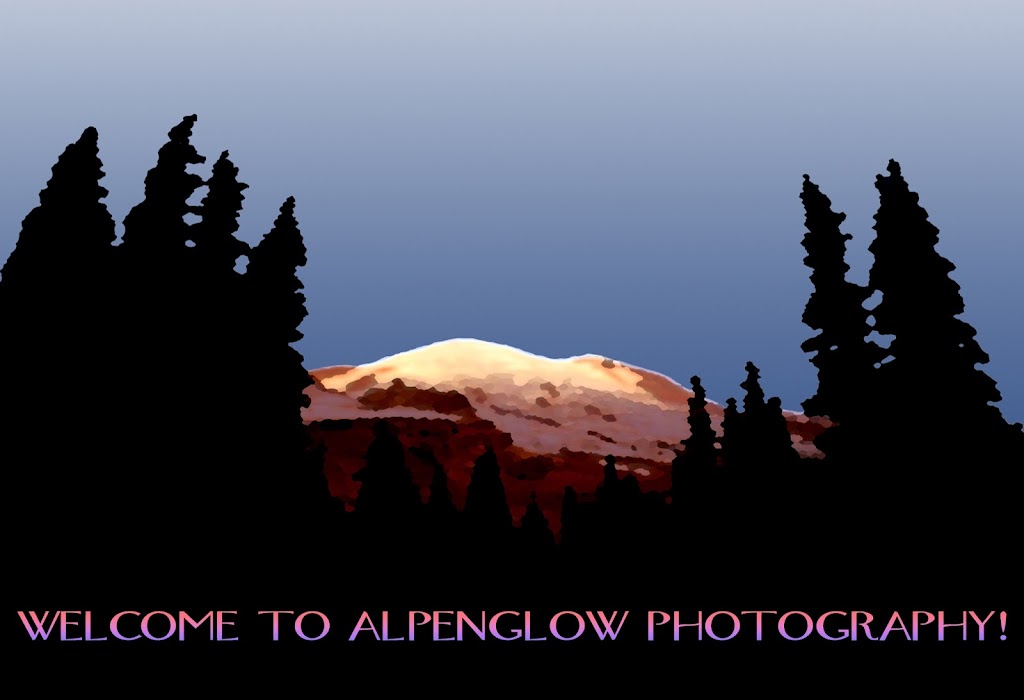 Alpenglow Photography | 215 Mountain Rd, Ringoes, NJ 08551 | Phone: (908) 256-2516