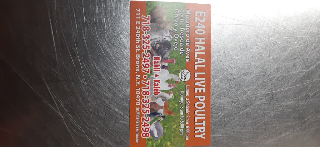 E 240 Halal Live Poultry | 711 E 240th St, The Bronx, NY 10470 | Phone: (718) 325-2497