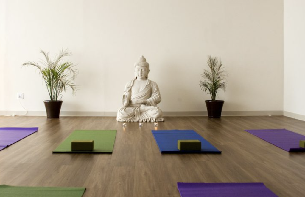 Yoga + Herbs | 4143 County Rd 516, Matawan, NJ 07747 | Phone: (732) 617-2020