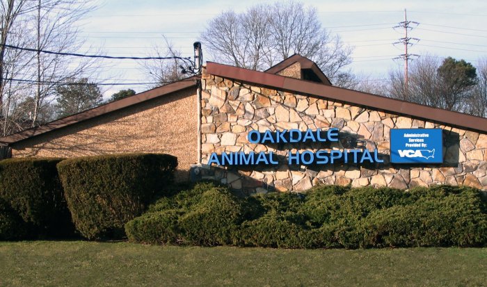 Oakdale Animal Hospital | 1191 Montauk Hwy, Oakdale, NY 11769 | Phone: (631) 210-7139