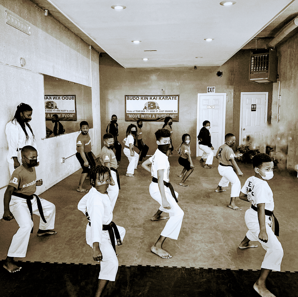 Budo Kin Kai Karate & Fitness | 171 Dodd St, East Orange, NJ 07017 | Phone: (973) 307-0177