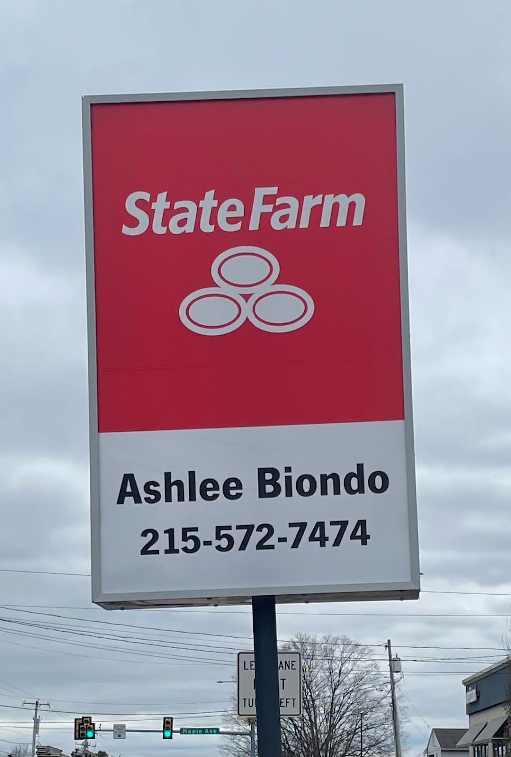 Ashlee Biondo - State Farm Insurance Agent | 507 Horsham Rd, Horsham, PA 19044 | Phone: (215) 572-7474