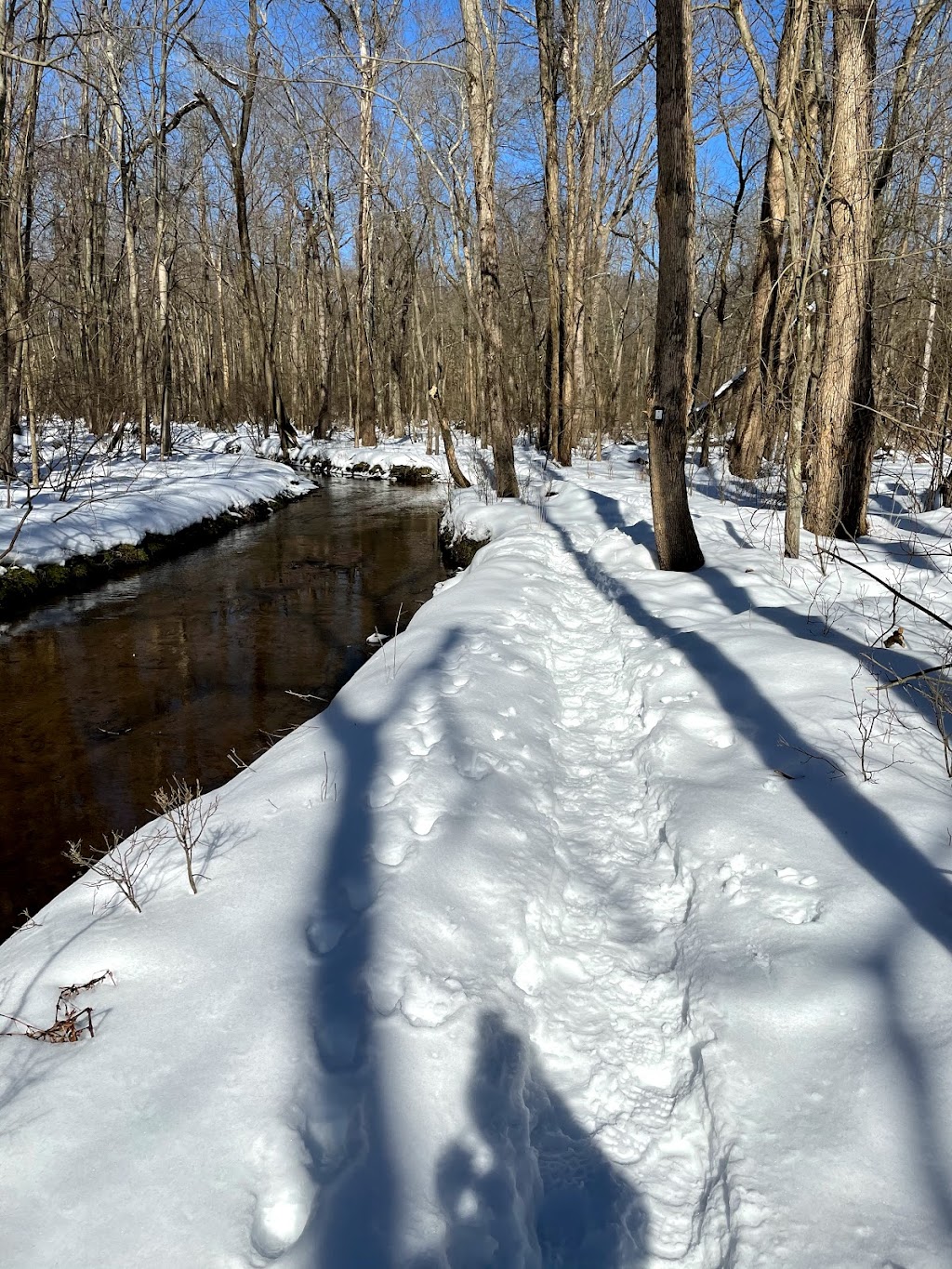 Closter Nature Center | 154 Ruckman Rd, Closter, NJ 07624 | Phone: (201) 750-2778