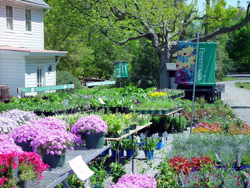 Spring Valley Nurseries | 4038 US-202, Doylestown, PA 18902 | Phone: (215) 794-7159