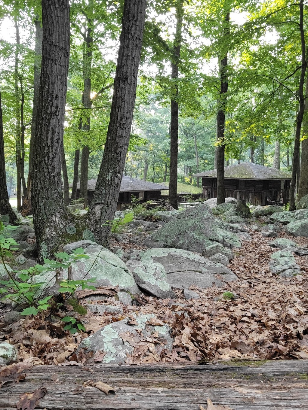 Sebago Cabin Camp | 440 Seven Lakes Dr, Sloatsburg, NY 10974 | Phone: (845) 429-2039