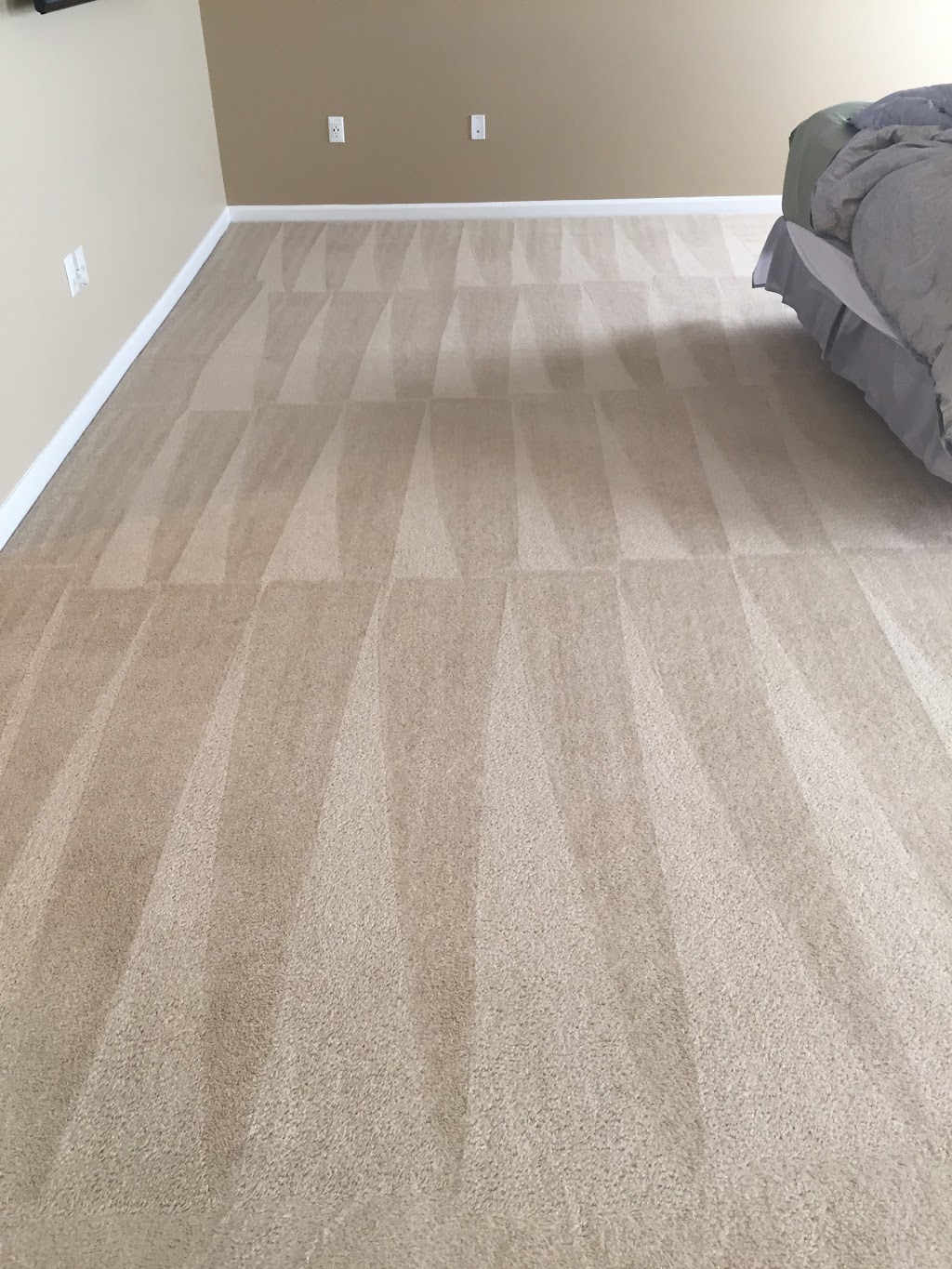 Bestway Carpet & Tile Cleaning | 25 Dale Rd, Middletown Township, NJ 07748 | Phone: (732) 671-8829