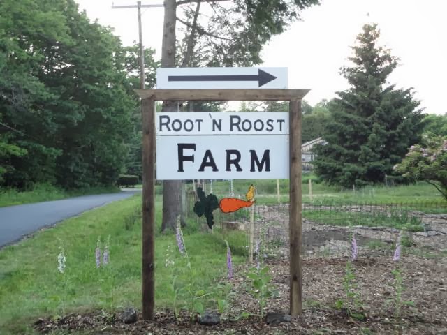 Root N Roost Farm | 64 Mineral Springs Rd, Livingston Manor, NY 12758 | Phone: (845) 292-9126